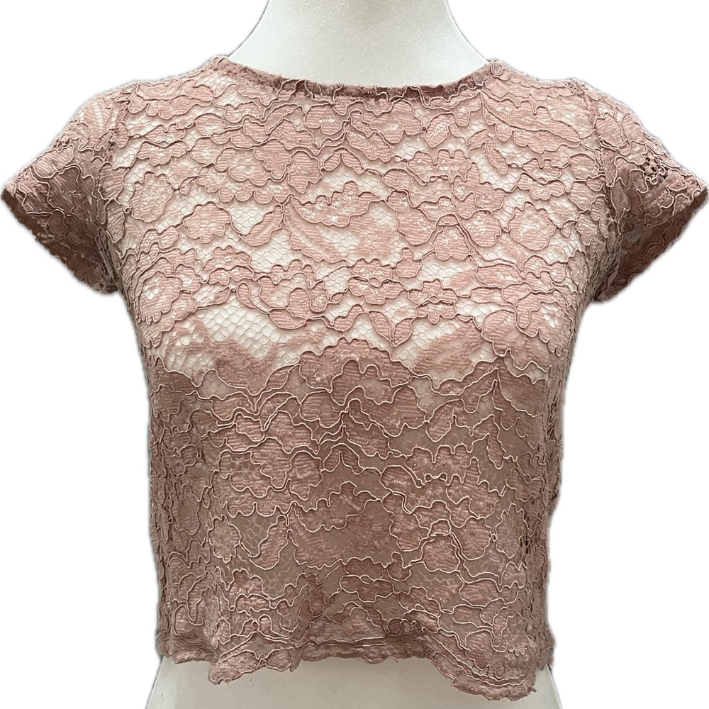 Ambiance Lace Crop Top - Dusty Pink